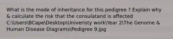 What is the mode of inheritance for this pedigree ? Explain why & calculate the risk that the consulatand is affected C:UsersBCapeDesktopUniveristy workYear 2The Genome & Human Disease DiagramsPedigree 9.jpg