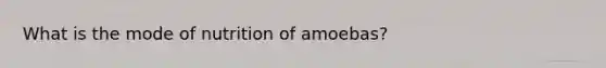 What is the mode of nutrition of amoebas?