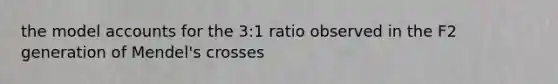 the model accounts for the 3:1 ratio observed in the F2 generation of Mendel's crosses