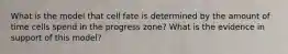 What is the model that cell fate is determined by the amount of time cells spend in the progress zone? What is the evidence in support of this model?