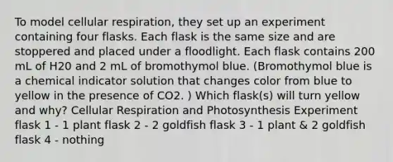 To model cellular respiration, they set up an experiment containing four flasks. Each flask is the same size and are stoppered and placed under a floodlight. Each flask contains 200 mL of H20 and 2 mL of bromothymol blue. (Bromothymol blue is a chemical indicator solution that changes color from blue to yellow in the presence of CO2. ) Which flask(s) will turn yellow and why? Cellular Respiration and Photosynthesis Experiment flask 1 - 1 plant flask 2 - 2 goldfish flask 3 - 1 plant & 2 goldfish flask 4 - nothing