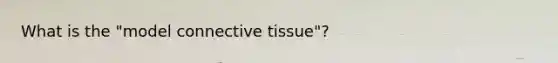 What is the "model connective tissue"?