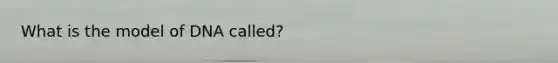 What is the model of DNA called?
