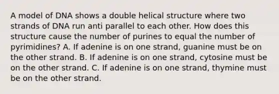 A model of DNA shows a double helical structure where two strands of DNA run anti parallel to each other. How does this structure cause the number of purines to equal the number of pyrimidines? A. If adenine is on one strand, guanine must be on the other strand. B. If adenine is on one strand, cytosine must be on the other strand. C. If adenine is on one strand, thymine must be on the other strand.