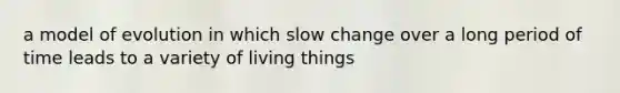 a model of evolution in which slow change over a long period of time leads to a variety of living things