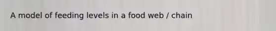 A model of feeding levels in a food web / chain