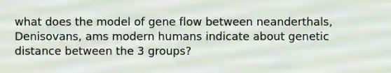 what does the model of gene flow between neanderthals, Denisovans, ams modern humans indicate about genetic distance between the 3 groups?