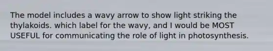 The model includes a wavy arrow to show light striking the thylakoids. which label for the wavy, and I would be MOST USEFUL for communicating the role of light in photosynthesis.