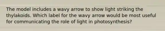 The model includes a wavy arrow to show light striking the thylakoids. Which label for the wavy arrow would be most useful for communicating the role of light in photosynthesis?