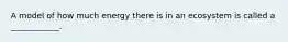 A model of how much energy there is in an ecosystem is called a ____________.