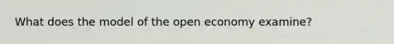 What does the model of the open economy examine?