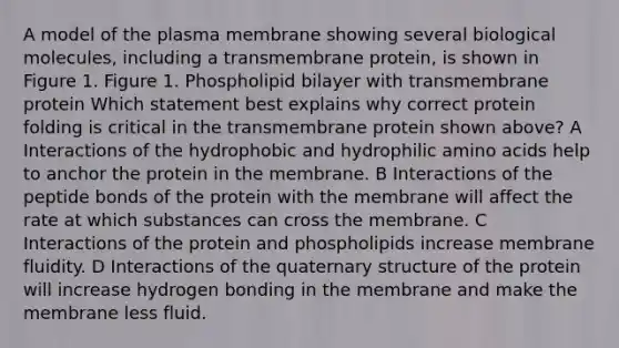 A model of the plasma membrane showing several biological molecules, including a transmembrane protein, is shown in Figure 1. Figure 1. Phospholipid bilayer with transmembrane protein Which statement best explains why correct protein folding is critical in the transmembrane protein shown above? A Interactions of the hydrophobic and hydrophilic amino acids help to anchor the protein in the membrane. B Interactions of the peptide bonds of the protein with the membrane will affect the rate at which substances can cross the membrane. C Interactions of the protein and phospholipids increase membrane fluidity. D Interactions of the quaternary structure of the protein will increase hydrogen bonding in the membrane and make the membrane less fluid.