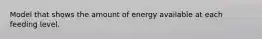 Model that shows the amount of energy available at each feeding level.