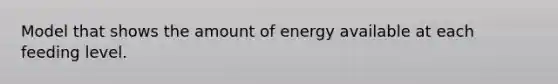 Model that shows the amount of energy available at each feeding level.