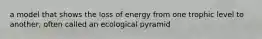 a model that shows the loss of energy from one trophic level to another; often called an ecological pyramid