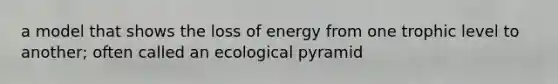 a model that shows the loss of energy from one trophic level to another; often called an ecological pyramid