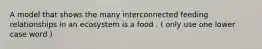 A model that shows the many interconnected feeding relationships in an ecosystem is a food . ( only use one lower case word )