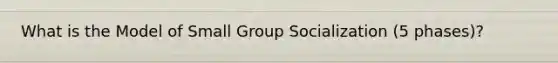 What is the Model of Small Group Socialization (5 phases)?