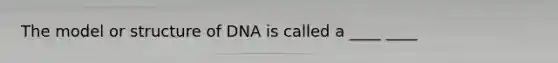 The model or structure of DNA is called a ____ ____