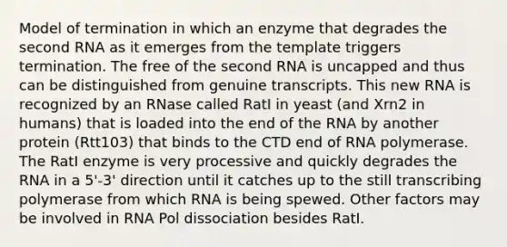 Model of termination in which an enzyme that degrades the second RNA as it emerges from the template triggers termination. The free of the second RNA is uncapped and thus can be distinguished from genuine transcripts. This new RNA is recognized by an RNase called RatI in yeast (and Xrn2 in humans) that is loaded into the end of the RNA by another protein (Rtt103) that binds to the CTD end of RNA polymerase. The RatI enzyme is very processive and quickly degrades the RNA in a 5'-3' direction until it catches up to the still transcribing polymerase from which RNA is being spewed. Other factors may be involved in RNA Pol dissociation besides RatI.