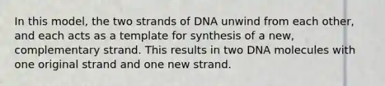 In this model, the two strands of DNA unwind from each other, and each acts as a template for synthesis of a new, complementary strand. This results in two DNA molecules with one original strand and one new strand.