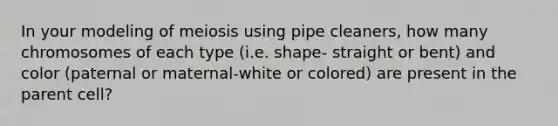 In your modeling of meiosis using pipe cleaners, how many chromosomes of each type (i.e. shape- straight or bent) and color (paternal or maternal-white or colored) are present in the parent cell?