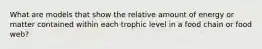 What are models that show the relative amount of energy or matter contained within each trophic level in a food chain or food web?