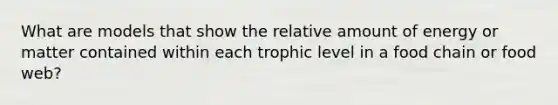 What are models that show the relative amount of energy or matter contained within each trophic level in a food chain or food web?