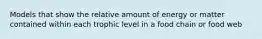 Models that show the relative amount of energy or matter contained within each trophic level in a food chain or food web