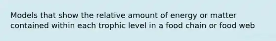 Models that show the relative amount of energy or matter contained within each trophic level in a food chain or food web