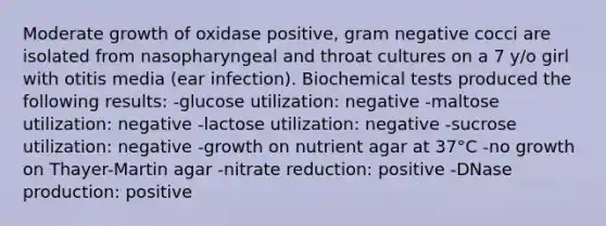 Moderate growth of oxidase positive, gram negative cocci are isolated from nasopharyngeal and throat cultures on a 7 y/o girl with otitis media (ear infection). Biochemical tests produced the following results: -glucose utilization: negative -maltose utilization: negative -lactose utilization: negative -sucrose utilization: negative -growth on nutrient agar at 37°C -no growth on Thayer-Martin agar -nitrate reduction: positive -DNase production: positive