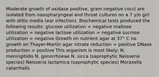 Moderate growth of oxidase positive, gram negative cocci are isolated from nasopharyngeal and throat cultures on a 7 y/o girl with otitis media (ear infection). Biochemical tests produced the following results: glucose utilization = negative maltose utilization = negative lactose utilization = negative sucrose utilization = negative Growth on nutrient agar at 37° C no growth on Thayer-Martin agar nitrate reduction = positive DNase production = positive This organism is most likely: N. meningitidis N. gonorrhoeae N. sicca (saprophytic Neisseria species) Neisseria lactamica (saprophytic species) Moraxella catarrhalis