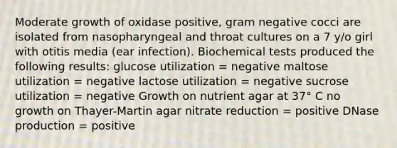 Moderate growth of oxidase positive, gram negative cocci are isolated from nasopharyngeal and throat cultures on a 7 y/o girl with otitis media (ear infection). Biochemical tests produced the following results: glucose utilization = negative maltose utilization = negative lactose utilization = negative sucrose utilization = negative Growth on nutrient agar at 37° C no growth on Thayer-Martin agar nitrate reduction = positive DNase production = positive