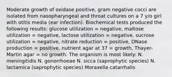 Moderate growth of oxidase positive, gram negative cocci are isolated from nasopharyngeal and throat cultures on a 7 y/o girl with otitis media (ear infection). Biochemical tests produced the following results: glucose utilization = negative, maltose utilization = negative, lactose utilization = negative, sucrose utilization = negative, nitrate reduction = positive, DNase production = positive, nutrient agar at 37 = growth, Thayer-Martin agar = no growth. The organism is most likely: N. meningitidis N. gonorrhoeae N. sicca (saprophytic species) N. lactamica (saprophytic species) Moraxella catarrhalis