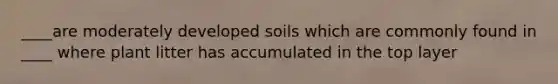 ____are moderately developed soils which are commonly found in ____ where plant litter has accumulated in the top layer