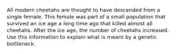 All modern cheetahs are thought to have descended from a single female. This female was part of a small population that survived an ice age a long time ago that killed almost all cheetahs. After the ice age, the number of cheetahs increased. Use this information to explain what is meant by a genetic bottleneck.