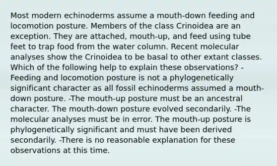 Most modern echinoderms assume a mouth-down feeding and locomotion posture. Members of the class Crinoidea are an exception. They are attached, mouth-up, and feed using tube feet to trap food from the water column. Recent molecular analyses show the Crinoidea to be basal to other extant classes. Which of the following help to explain these observations? -Feeding and locomotion posture is not a phylogenetically significant character as all fossil echinoderms assumed a mouth-down posture. -The mouth-up posture must be an ancestral character. The mouth-down posture evolved secondarily. -The molecular analyses must be in error. The mouth-up posture is phylogenetically significant and must have been derived secondarily. -There is no reasonable explanation for these observations at this time.