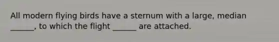 All modern flying birds have a sternum with a large, median ______, to which the flight ______ are attached.