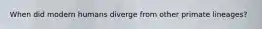 When did modern humans diverge from other primate lineages?