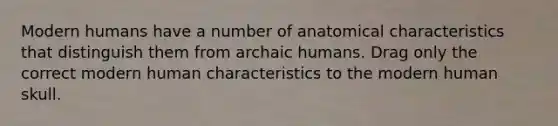 Modern humans have a number of anatomical characteristics that distinguish them from archaic humans. Drag only the correct modern human characteristics to the modern human skull.