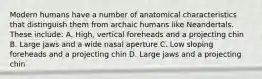 Modern humans have a number of anatomical characteristics that distinguish them from archaic humans like Neandertals. These include: A. High, vertical foreheads and a projecting chin B. Large jaws and a wide nasal aperture C. Low sloping foreheads and a projecting chin D. Large jaws and a projecting chin