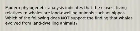 Modern phylogenetic analysis indicates that the closest living relatives to whales are land-dwelling animals such as hippos. Which of the following does NOT support the finding that whales evolved from land-dwelling animals?