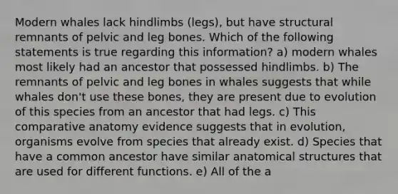 Modern whales lack hindlimbs (legs), but have structural remnants of pelvic and leg bones. Which of the following statements is true regarding this information? a) modern whales most likely had an ancestor that possessed hindlimbs. b) The remnants of pelvic and leg bones in whales suggests that while whales don't use these bones, they are present due to evolution of this species from an ancestor that had legs. c) This comparative anatomy evidence suggests that in evolution, organisms evolve from species that already exist. d) Species that have a common ancestor have similar anatomical structures that are used for different functions. e) All of the a