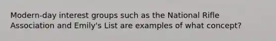 Modern-day interest groups such as the National Rifle Association and Emily's List are examples of what concept?