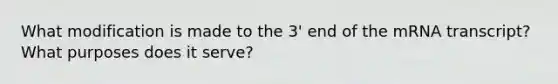 What modification is made to the 3' end of the mRNA transcript? What purposes does it serve?