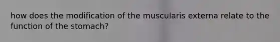 how does the modification of the muscularis externa relate to the function of the stomach?