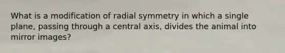 What is a modification of radial symmetry in which a single plane, passing through a central axis, divides the animal into mirror images?