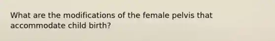 What are the modifications of the female pelvis that accommodate child birth?