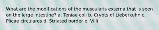 What are the modifications of the muscularis externa that is seen on the large intestine? a. Teniae coli b. Crypts of Lieberkuhn c. Plicae circulares d. Striated border e. Villi