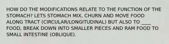 HOW DO THE MODIFICATIONS RELATE TO THE FUNCTION OF <a href='https://www.questionai.com/knowledge/kLccSGjkt8-the-stomach' class='anchor-knowledge'>the stomach</a>? LETS STOMACH MIX, CHURN AND MOVE FOOD ALONG TRACT (CIRCULAR/LONGITUDINAL) BUT ALSO TO ____ FOOD, BREAK DOWN INTO SMALLER PIECES AND RAM FOOD TO SMALL INTESTINE (OBLIQUE).